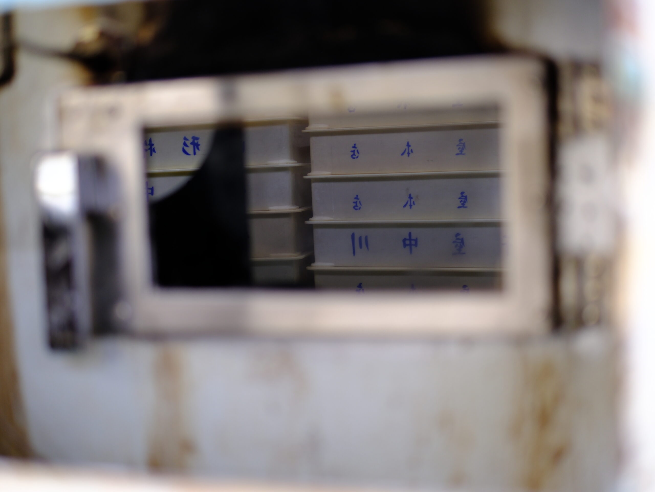 オーブンの窓越しに見える内部